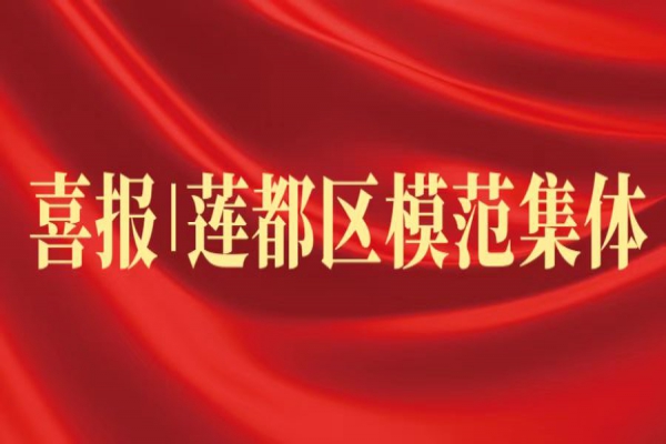 喜報丨浙江中立建設榮獲蓮都區(qū)“模范集體”稱號！